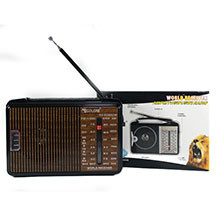 Radio Golon RX-608 – AM, FM və SW (KV) dalğalı, şəbəkə və batareya ilə işləyən, qara və qəhvəyi korpuslu, portativ və yüngül radioqəbuledici
